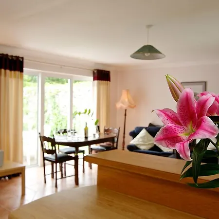 Ballyvaughan Cottages Semesterbostad *