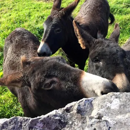 Semesterbostad Ballyvaughan Cottages *