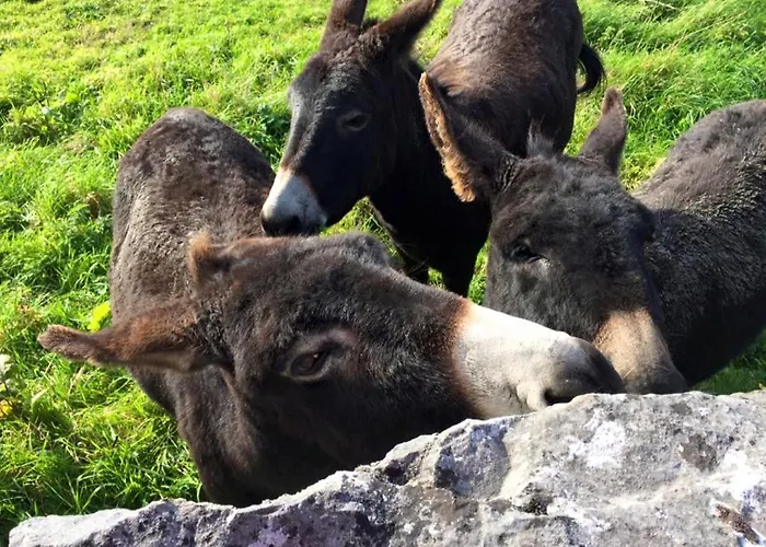 Holiday home Ballyvaughan Cottages *